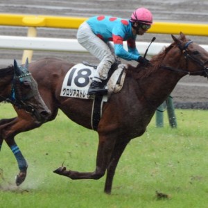 3歳未勝利