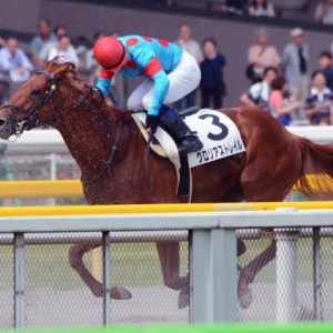 3歳未勝利
