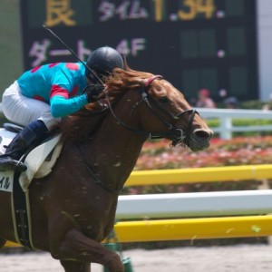 2014/05/24 東京4R・3歳未勝利 直線