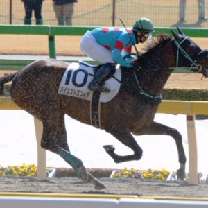 3歳新馬