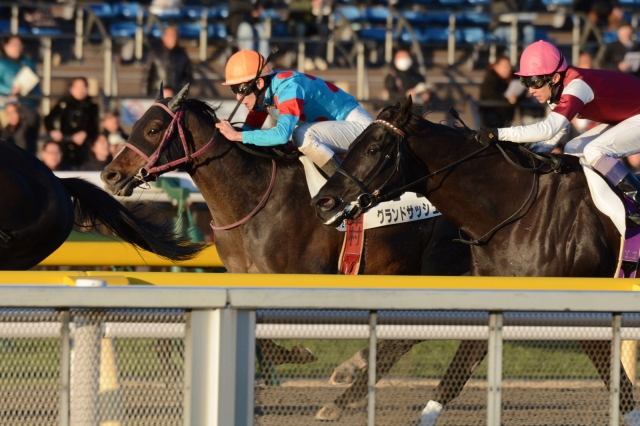 4歳上1000万下 グランドサッシュ