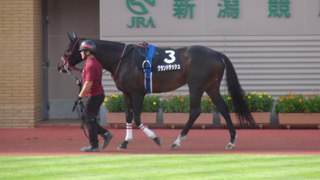 2018/8/18 日本海ステークス　パドック グランドサッシュ