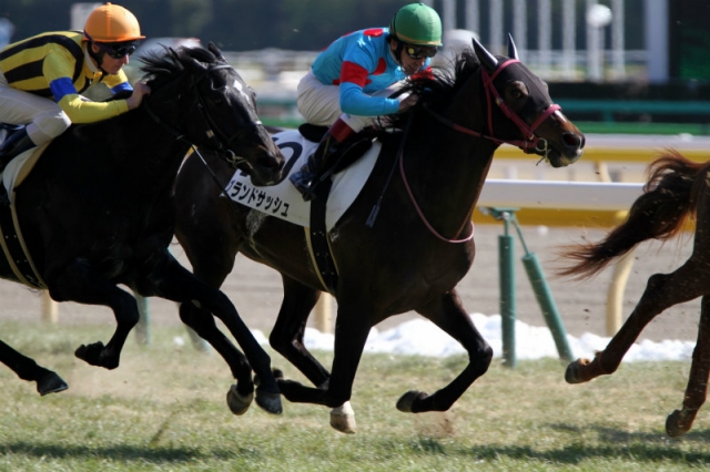 2014.02.22 3歳500万下 レース グランドサッシュ
