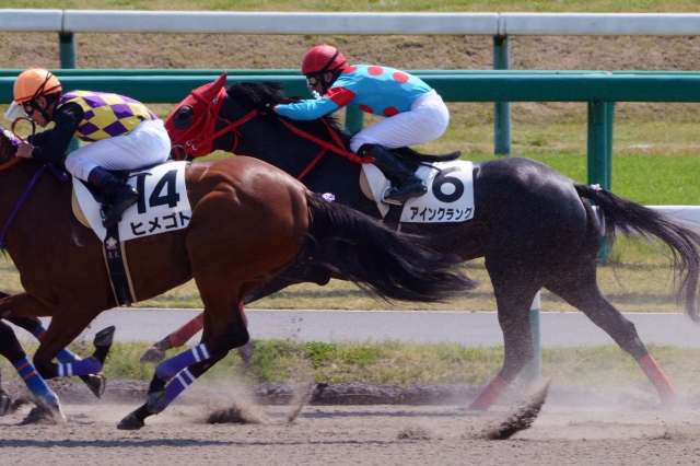 3歳未勝利 アインクラング