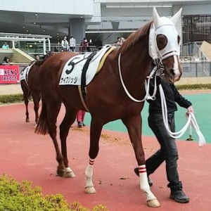 2015/03/15中京競馬場　９Ｒ　パドック