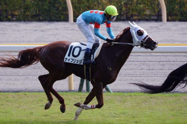 3歳上500万下 ナイフリッジ