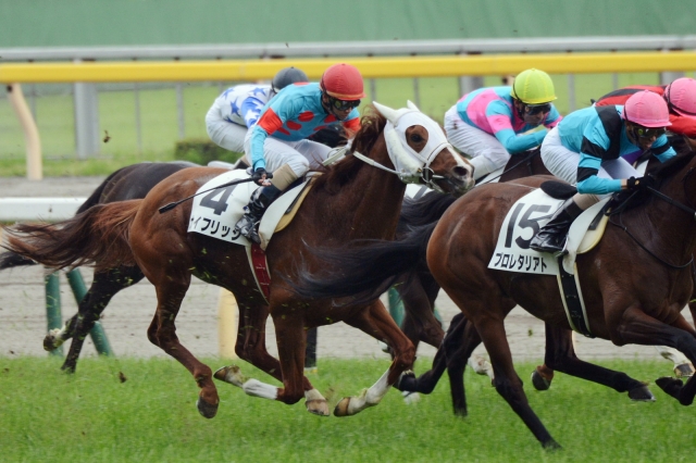 4歳上500万下 ナイフリッジ