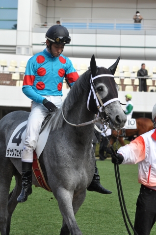 3歳未勝利/パドック ザッツフェイマス