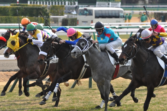 3歳未勝利/直線 ザッツフェイマス