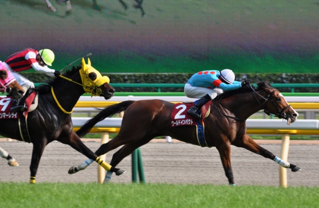 青葉賞/直線 ワールドインパクト