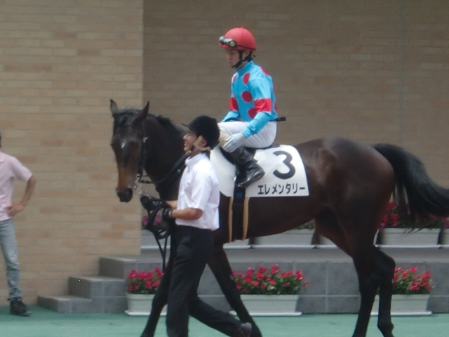 新馬戦 in 中京 エレメンタリー