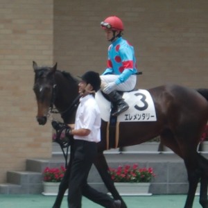 新馬戦 in 中京