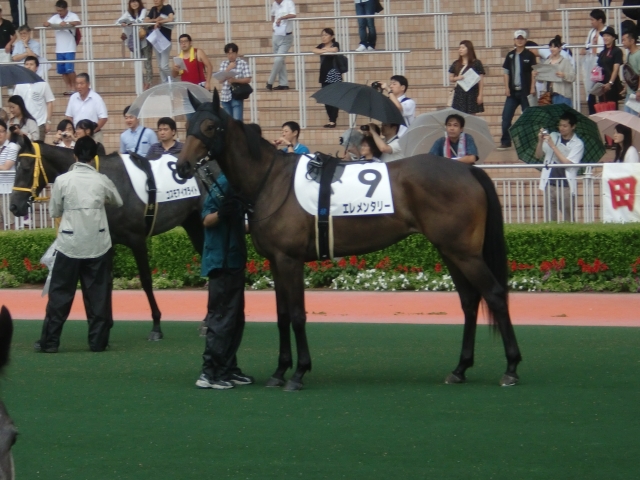 未勝利戦 in 小倉 エレメンタリー