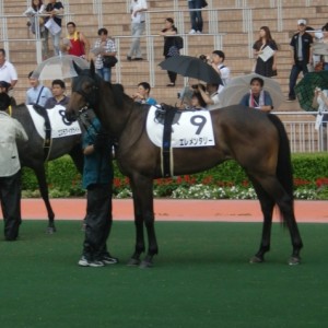 未勝利戦 in 小倉