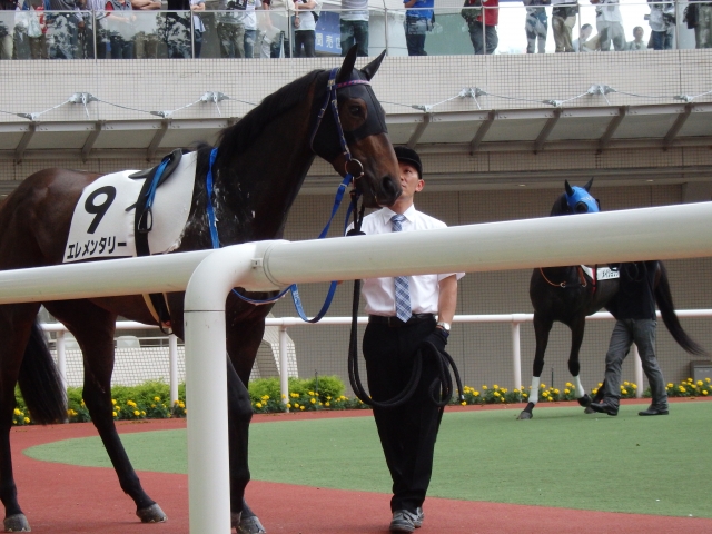 未勝利戦 in 阪神 エレメンタリー