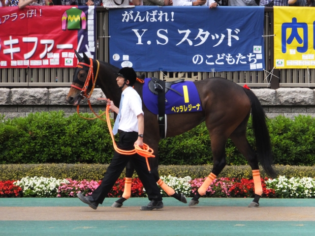 優駿牝馬パドック ベッラレジーナ
