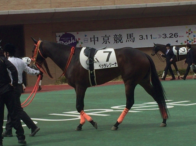 パドックにて ベッラレジーナ