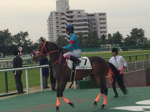 本馬場入場にて ベッラレジーナ