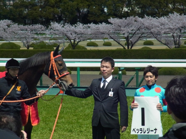 初勝利の口取り ベッラレジーナ