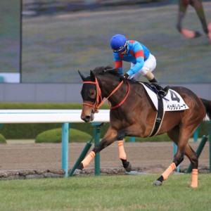 12/15　新馬戦返し馬
