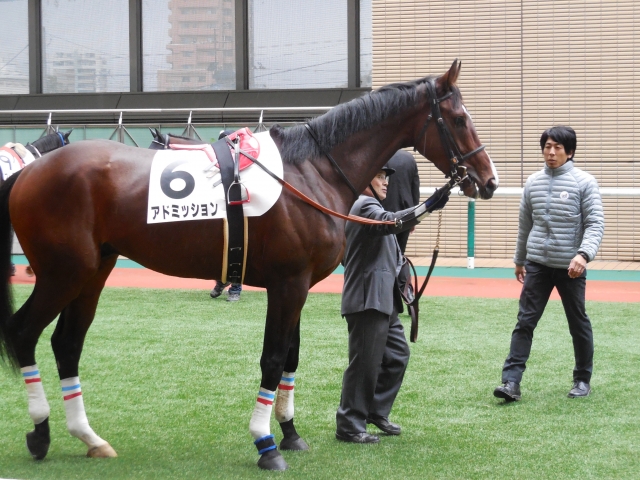 11月15日福島４Ｒ障害未勝利 アドミッション