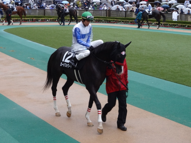 秋嶺ステークス　パドック ロードフォワード