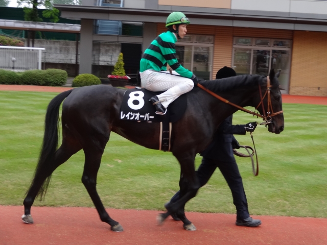 胎内川特別パドック レインオーバー