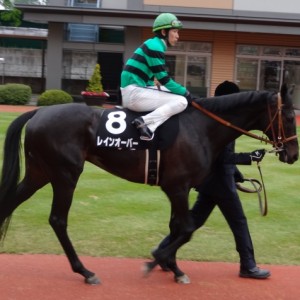 胎内川特別パドック