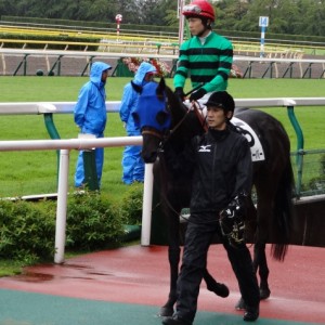 500万下馬場入り