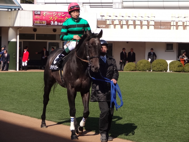 黄梅賞パドック ヴァイサーリッター