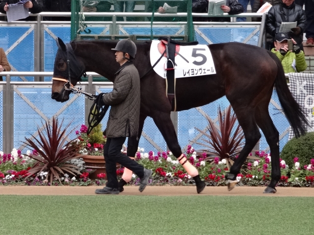 1000万下 パドック レイヨンヴェール