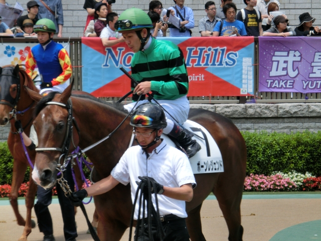 新馬戦パドック ボーンレジェンド