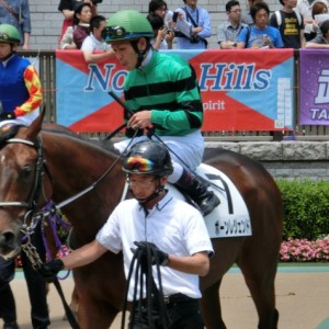 新馬戦パドック