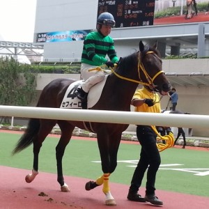 阪神2R 2歳未勝利 芝1600m