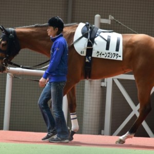 阪神4歳上500万ダート1800牝