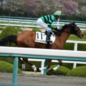 阪神4歳上500万ダート1800牝