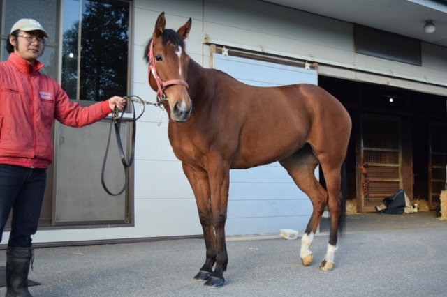 セグチ千葉 クイーンズシアター
