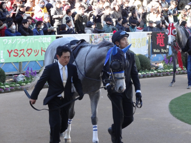 2013年12月22日中山 ルファルシオン