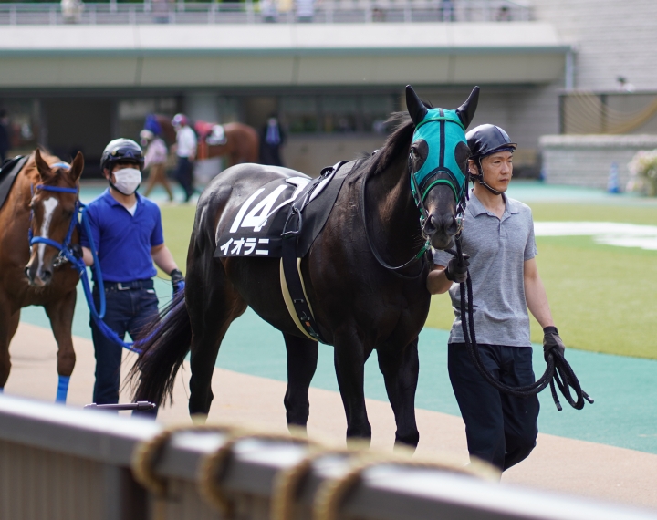 2021/4/24 晩春S(3勝クラス) イオラニ