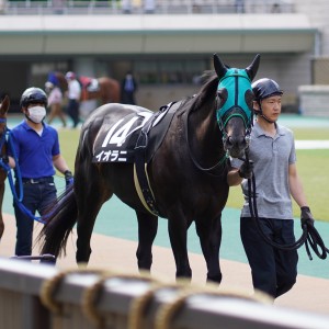 2021/4/24 晩春S(3勝クラス)