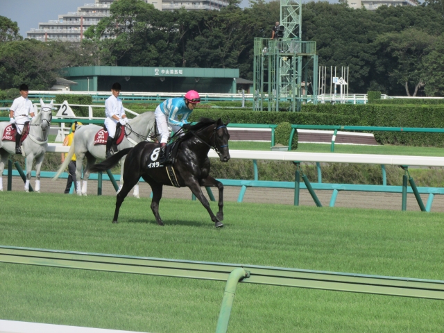 アスター賞 返し馬 イオラニ