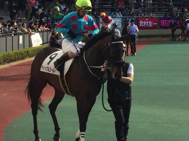 パドックにて ティックルゴールド