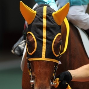 2013年7月21日 3回中京8日5R 芝1400m 