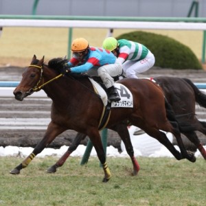 2014年2月15日 2回京都5日 5R 