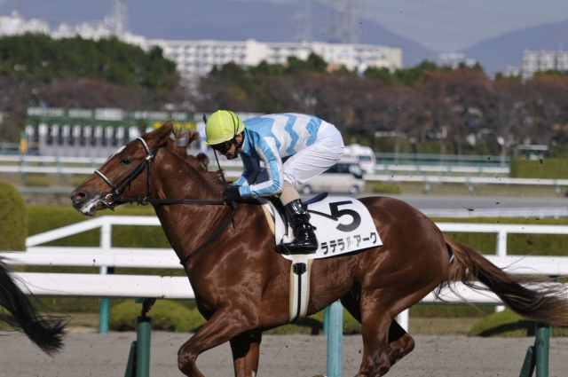 新馬戦ゴール前② ラテラルアーク