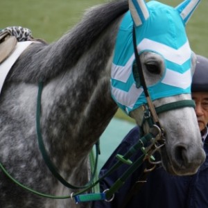 2015.11.22東京4R障害未勝利