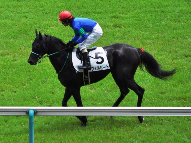 2013.06.16東京7R　未勝利戦　芝2400ｍ返し馬 フォルビート
