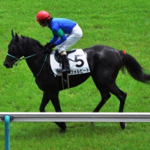 2013.06.16東京7R　未勝利戦　芝2400ｍ返し馬