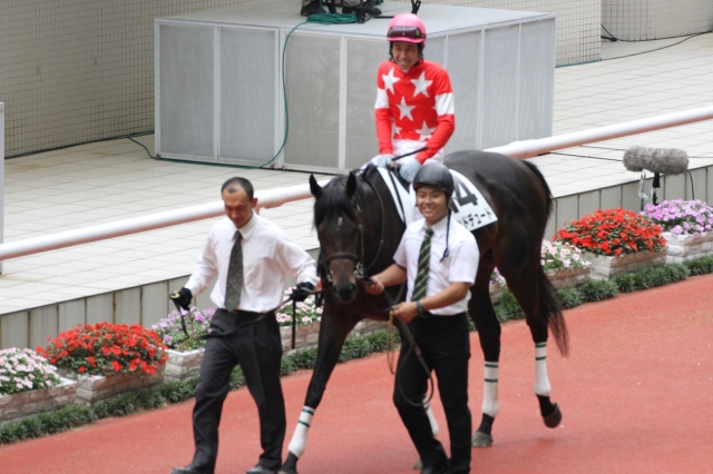 2013/06/23 3歳未勝利 レッドデュード