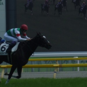 デビュー戦　最後直線
